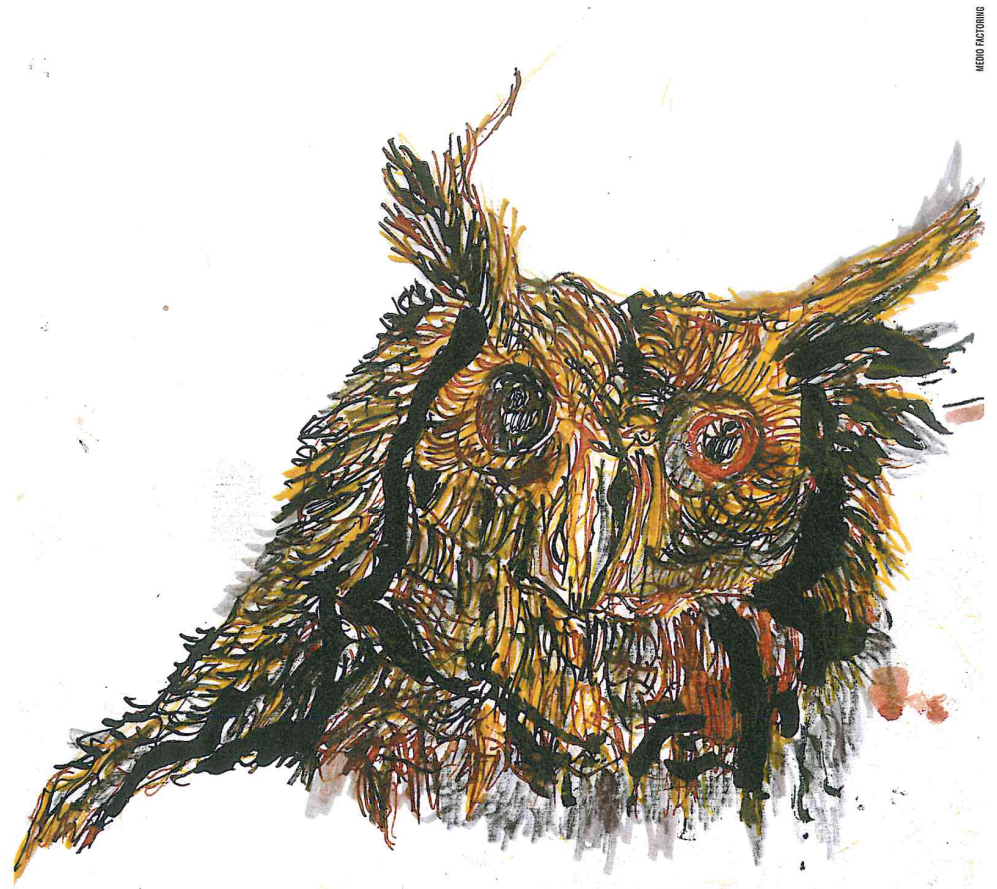 Disegno di Adriano Cantaluppi.